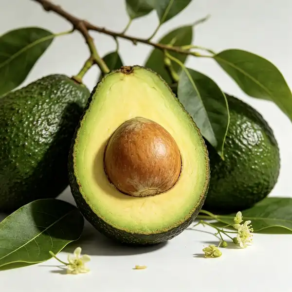 Why Is Avocado Refined Oil Popular With Professional Chefs?