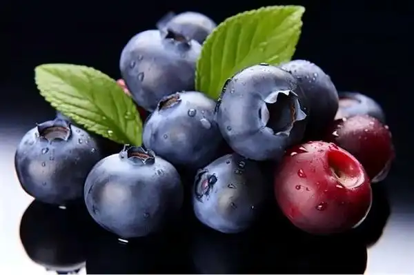 How to Import Blueberry Extract Powder from Trusted Suppliers?