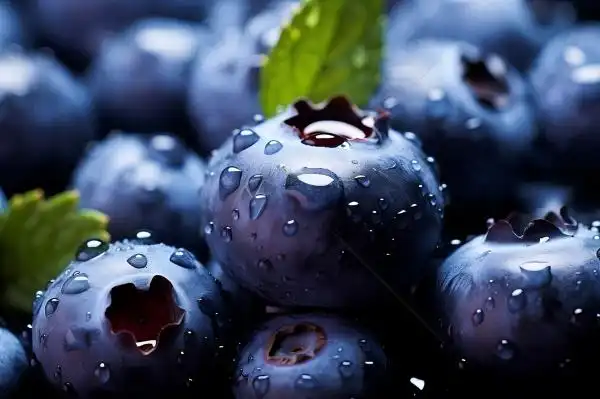 The Power of Blueberry Extract Powder in Cosmetics