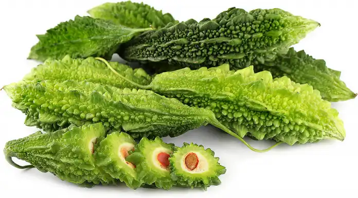 Unlocking the Benefits of Bitter Melon Extract Powder with Essential Specifications and Usage Tips