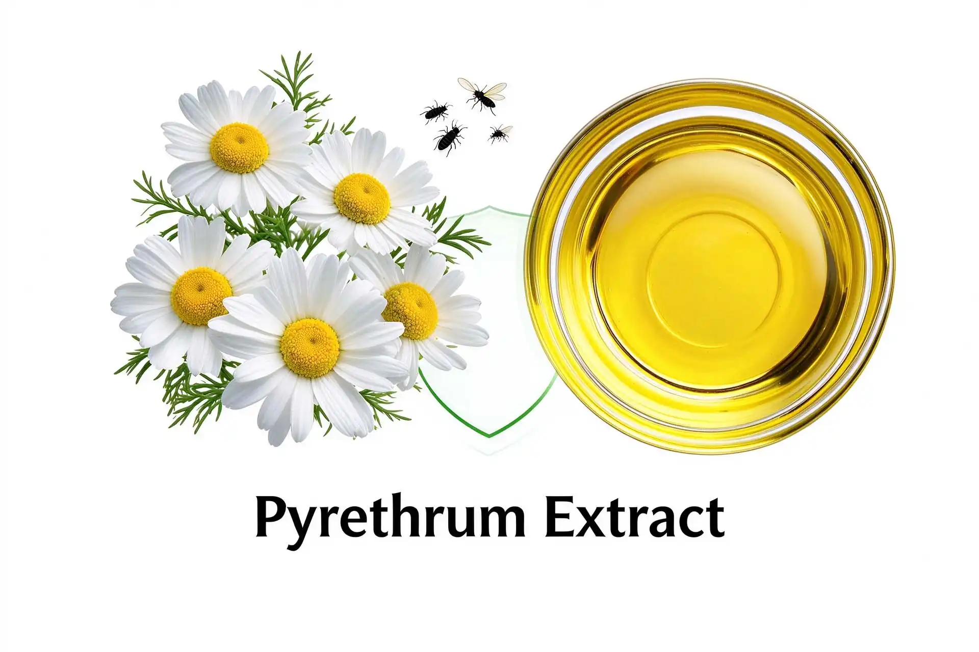 Can pyrethrum extract Improve Natural Pest Control?