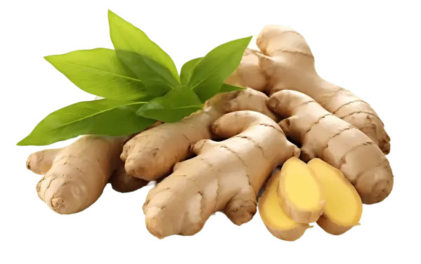 Where to Buy Ginger Extract Powder in Bulk for Import