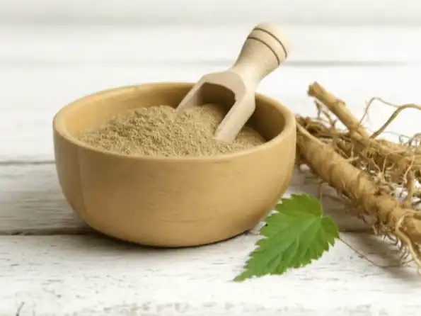 Is Organic Nettle Extract Powder Better for Premium Products?