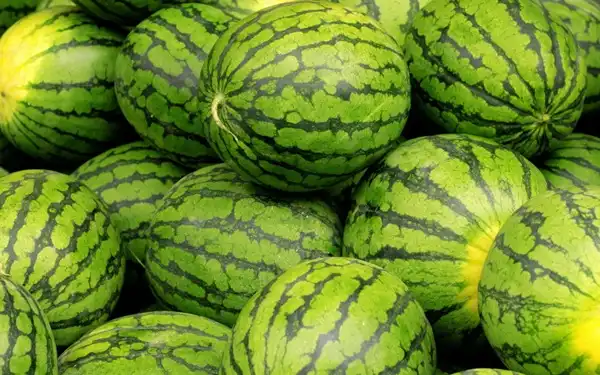 Is Watermelon Powder Suitable for Vegan Products?