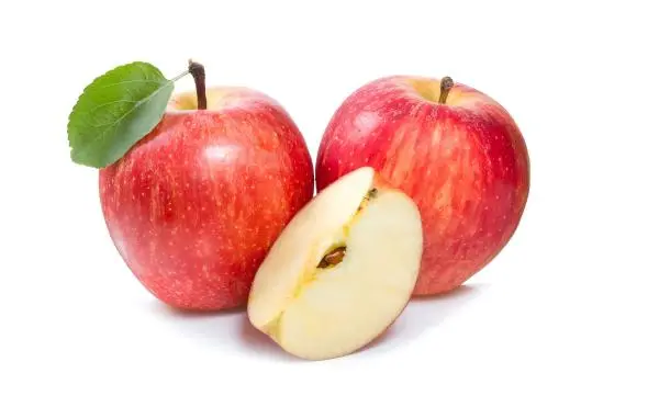 How Apple Root Extract Supports Skin Regeneration？