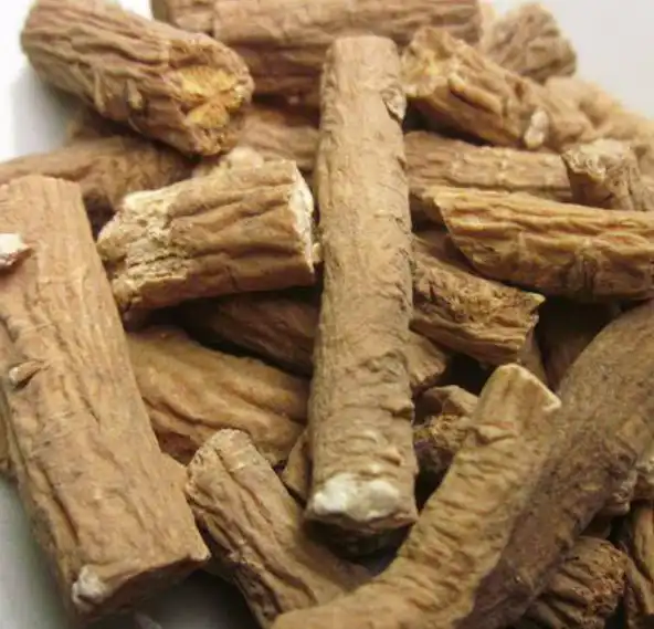 Where to Buy Isatis Root Extract: Importer’s Sourcing Guide
