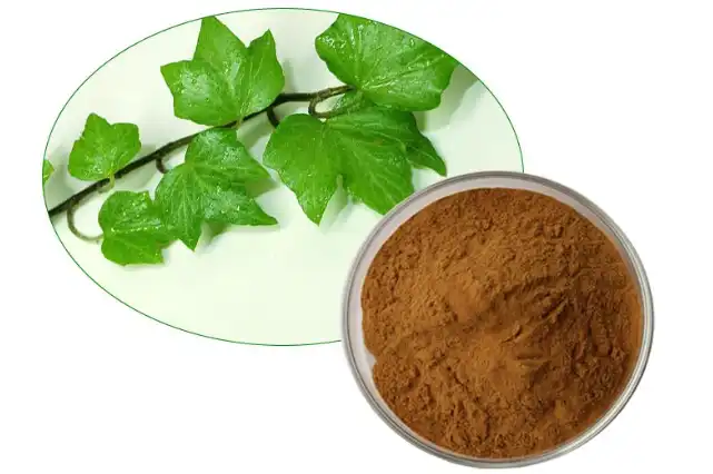 Ivy Extract Powder: Uses, Benefits, Safety & Quality Guide
