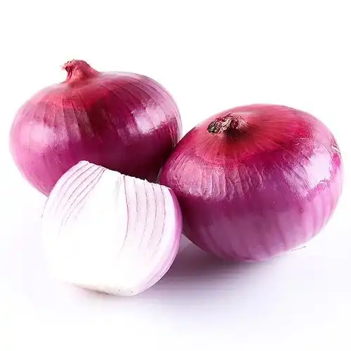 Onion Extract Benefits You Can’t Ignore in 2026