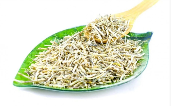 Is Couch Grass Rhizome Extract Effective for Kidney Health?