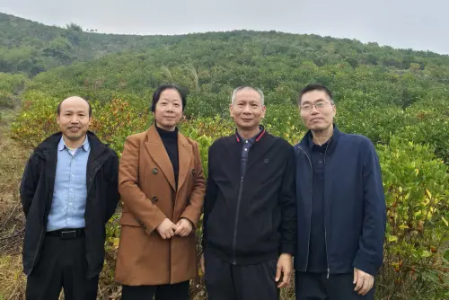 Terepi látogatás zöld kertészetünkben, ahol gardéniát, pomelót és bíbor édesburgonyát termesztünk