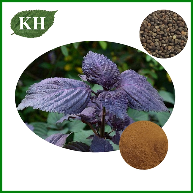 Extrait de graines de périlla