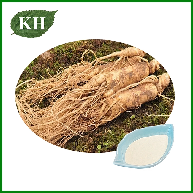 Poudre d'extrait de ginseng