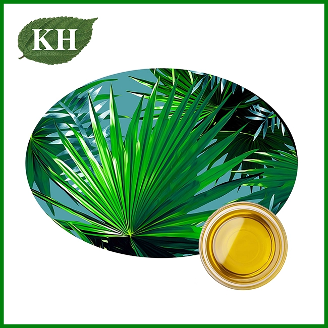 Lenga Palmetto Gergaji Alami