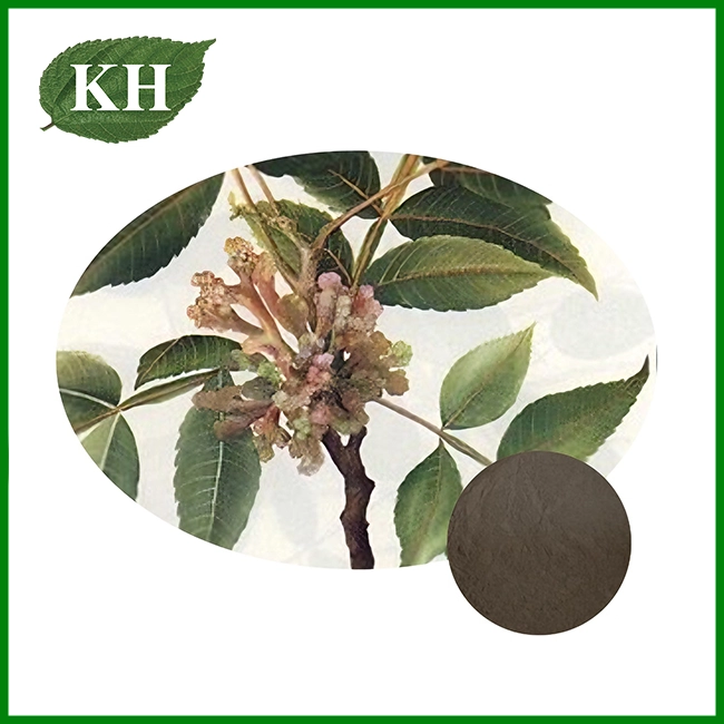 Gallnut Extract