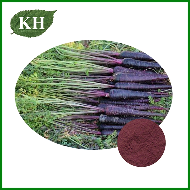 Extrait de carotte noire