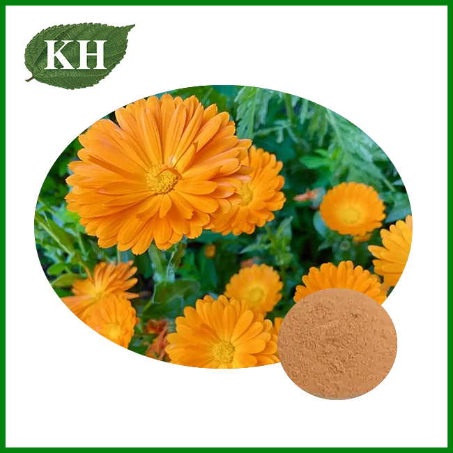 Bubuk Ekstrak Calendula