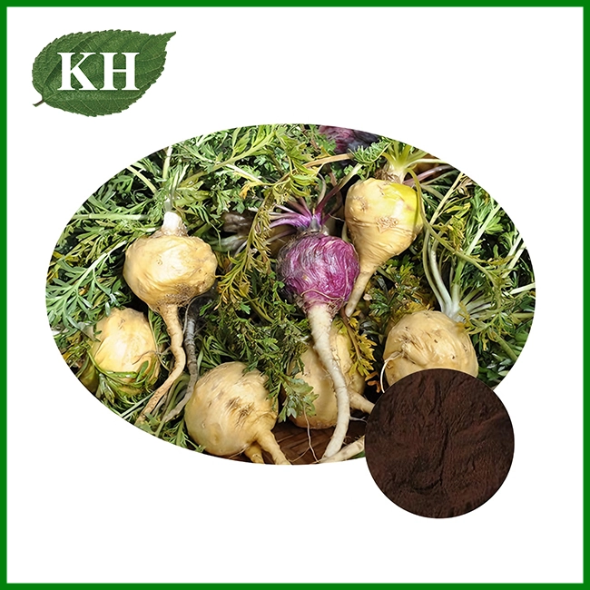 Polvo de extracto de maca