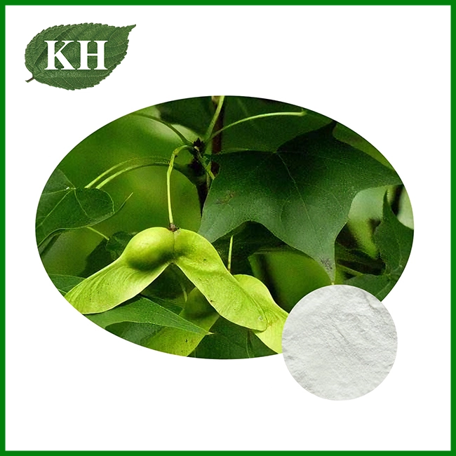 Extrait d'Acer Truncatum