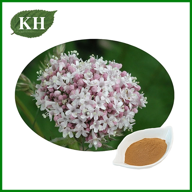Valerianus Radix Extract Pulvis