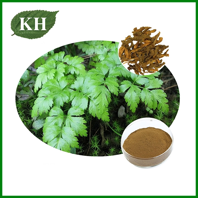 Polvo de Rhizoma Coptidis