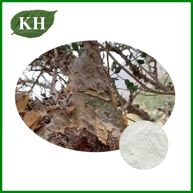 Polvo de extracto de Boswellia Serrata