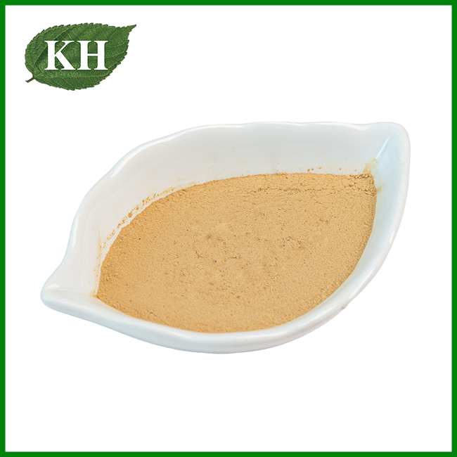 Brewer's Yeast Powder Brewer's Yeast Powder