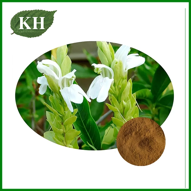 Extrait d'Adhatoda Vasica