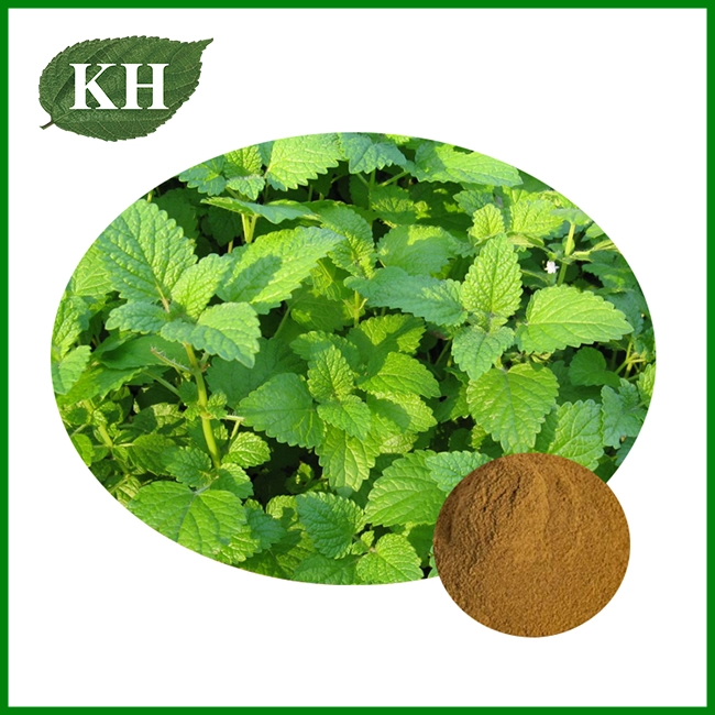 Extrait de mélisse officinalis