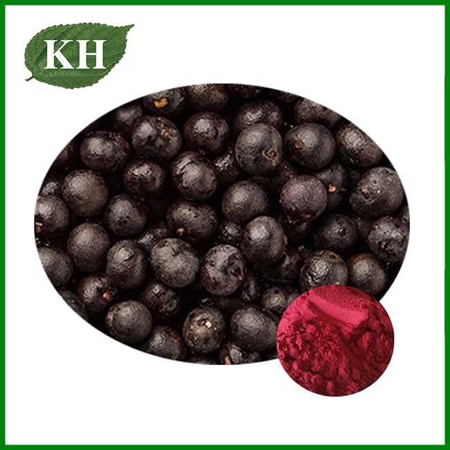 Extracto de Acai Berry Extracto de Acai Berry