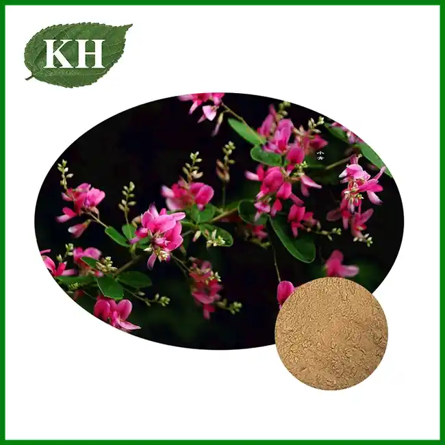 Extrait de Lespedeza capitata