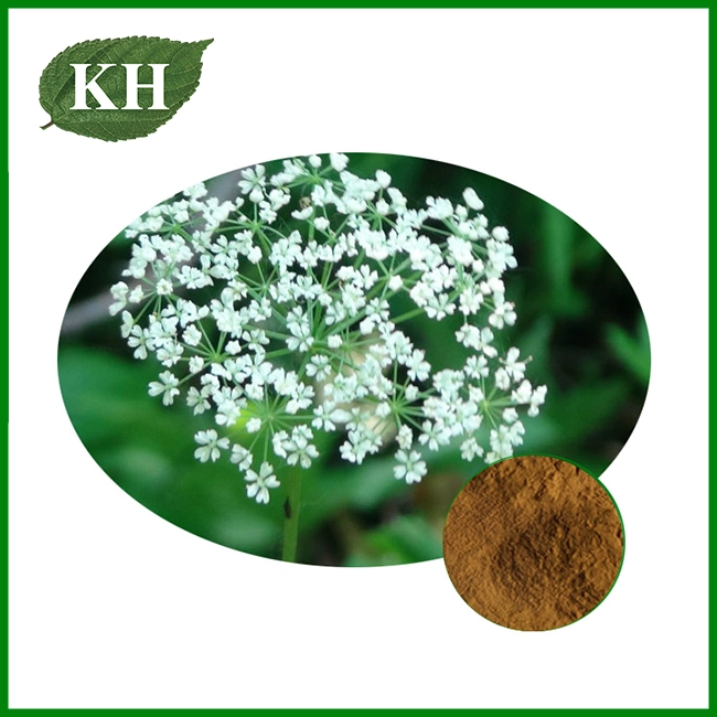 Extrait Cnidium monnieri