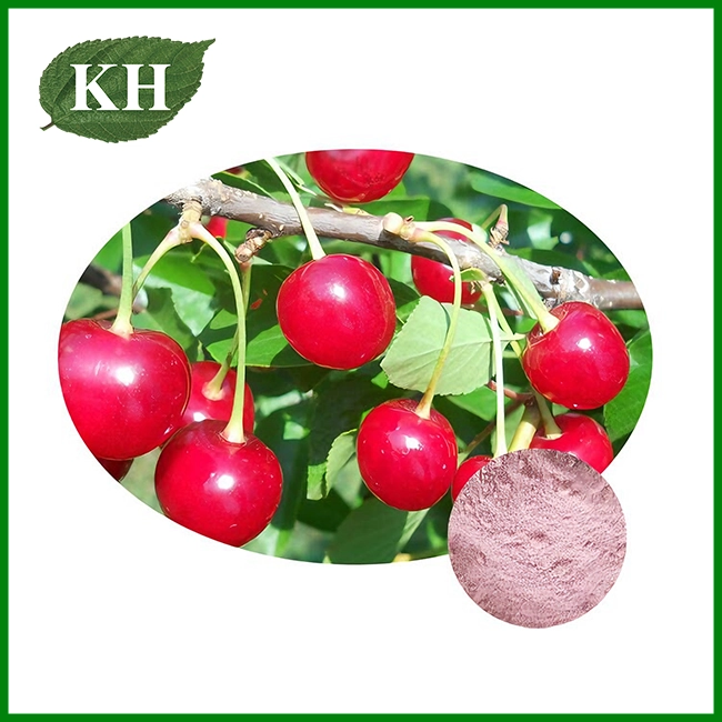 Extracto de cereza agria