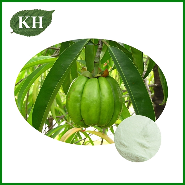 Poudre d'extrait de Garcinia Combogia