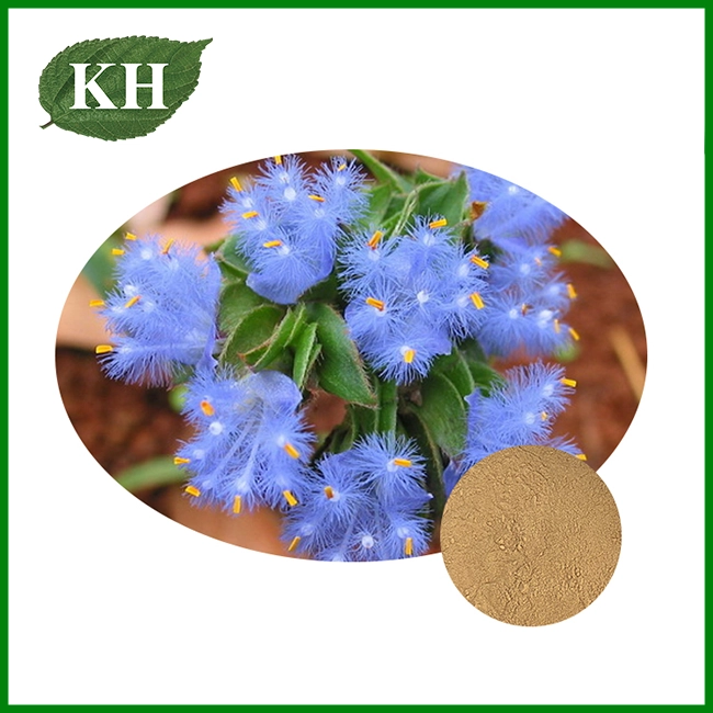 Extrait de Cyanotis Arachnoidea