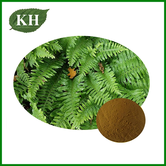 Extractum Polypodii Vulgaris