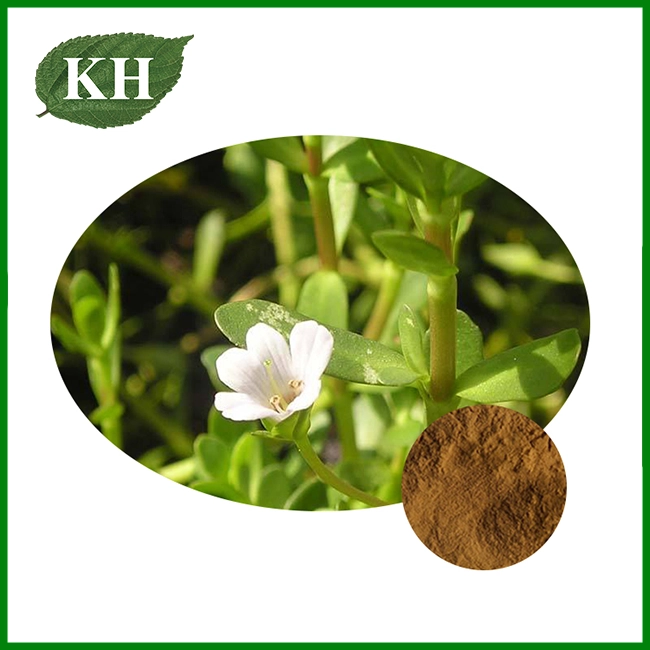 Bacopa Monnieri Extract Powder Bacopa Monnieri Extract Powder