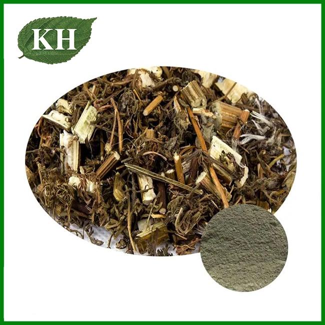 Artemisia Annua en polvo