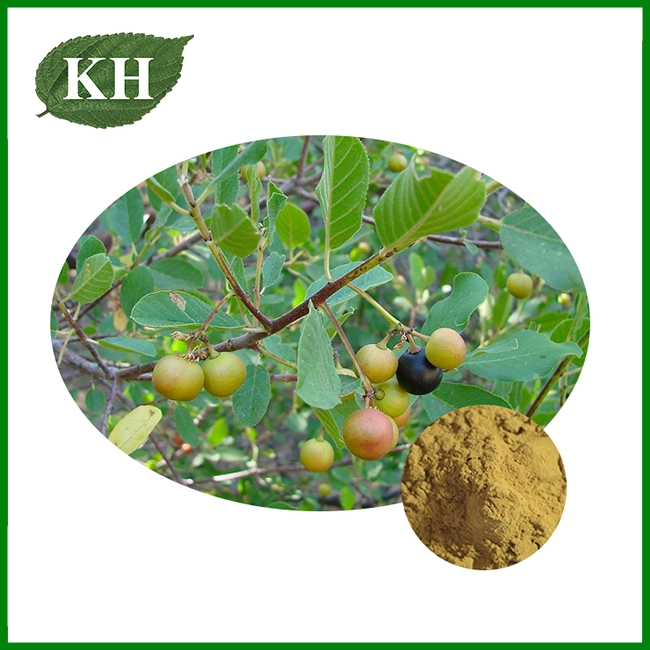 Extracto de corteza de cáscara Sagrada