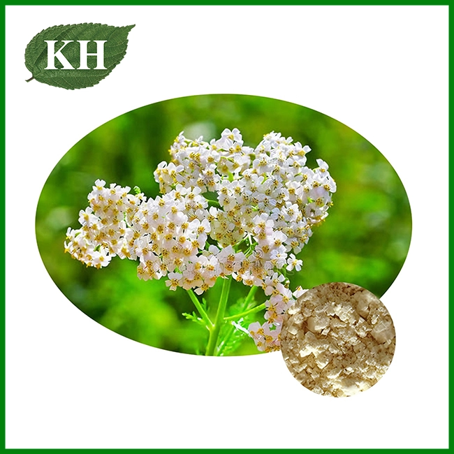 Extracto de Achillea Millefolium