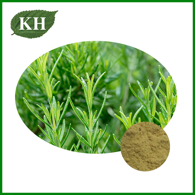 Ekstrak Rosemary kanggo Kosmetik