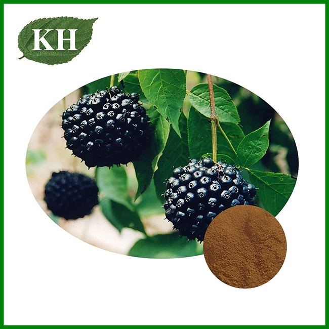 Extracto de ginseng siberiano