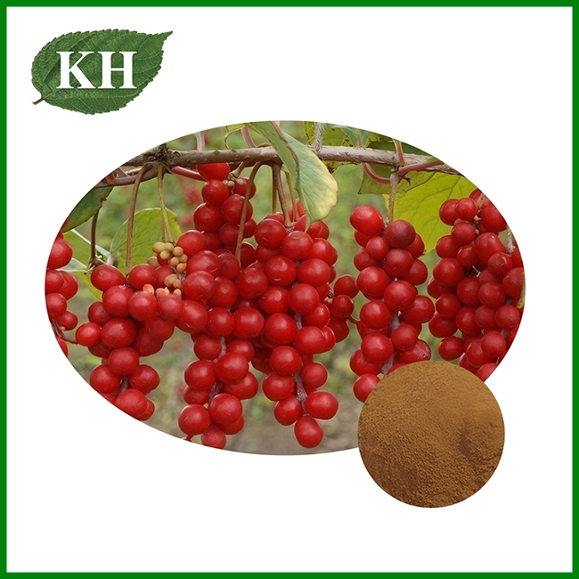 Extractum Schizandrae Chinensis Extractum Schizandrae Chinensis