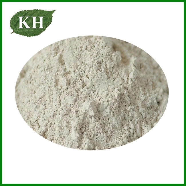 Bubuk Serratiopeptidase