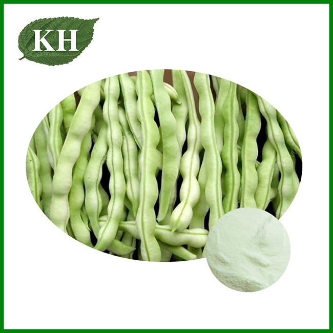 Poudre d'extrait de haricot blanc