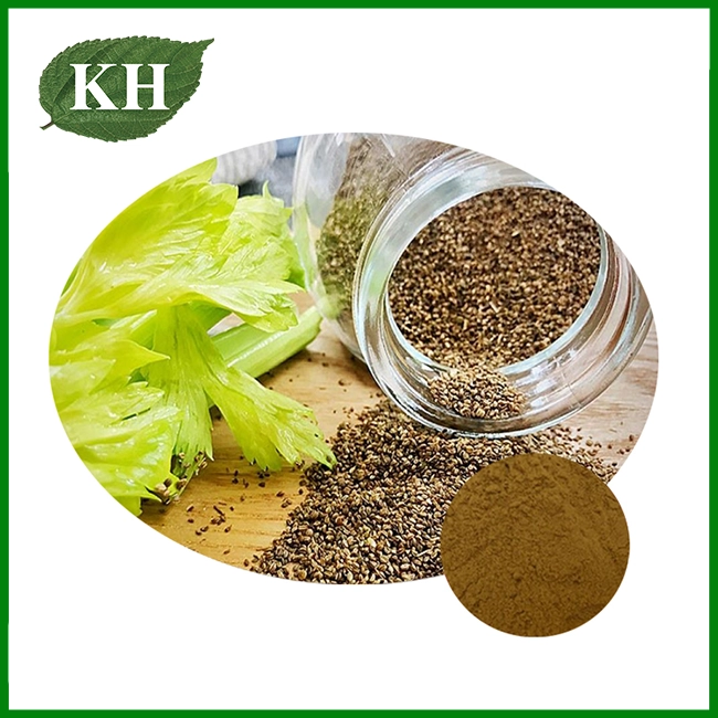 Apium Semen Extract Pulvis
