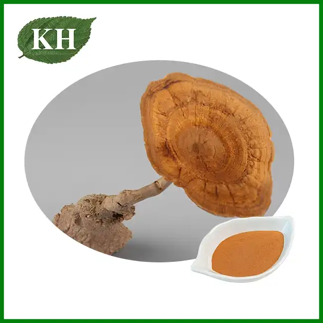 Lignosus Rhinocerus Mushroom Extract
