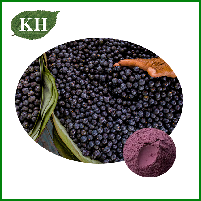 ម្សៅ Acai Berry សុទ្ធ ម្សៅ Acai Berry សុទ្ធ