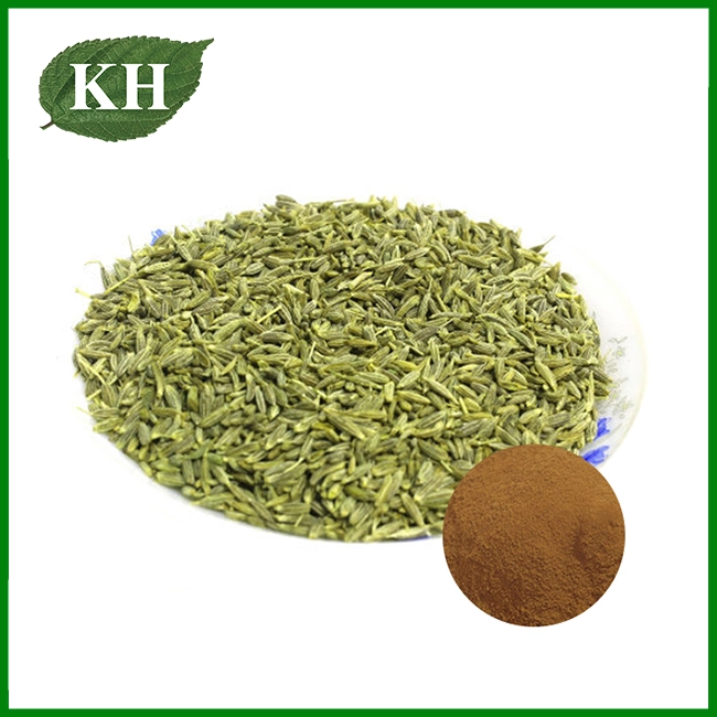 Foeniculi Semen Extract Pulvis Foeniculi Semen Extract Pulvis