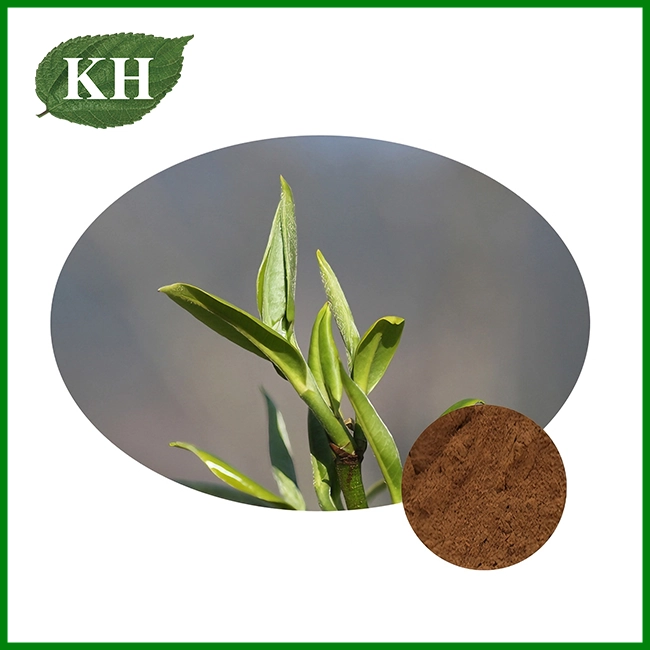 Extrait de thé noir