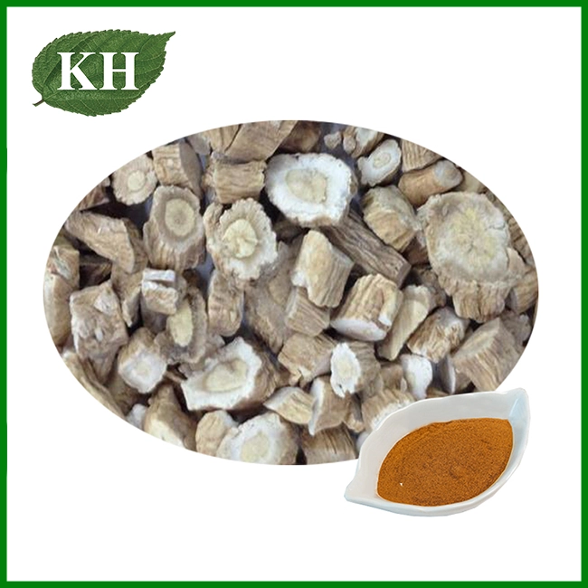 Extrait de racine d'Isatis